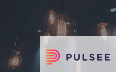 Tutto su Pulsee: offerte luce e gas, storia e contatti