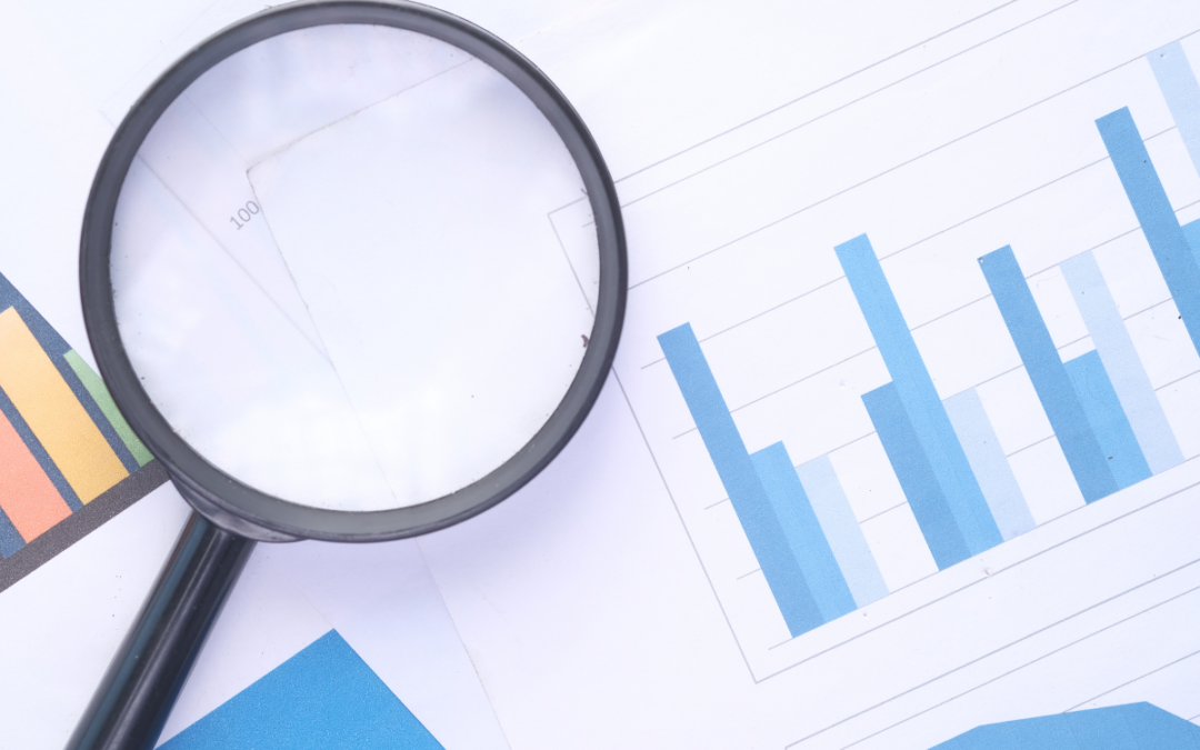 Controlli ARERA e Guardia di Finanza