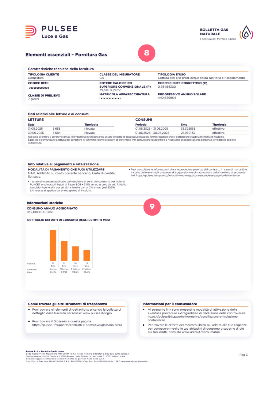 Leggere la bolletta Pulsee