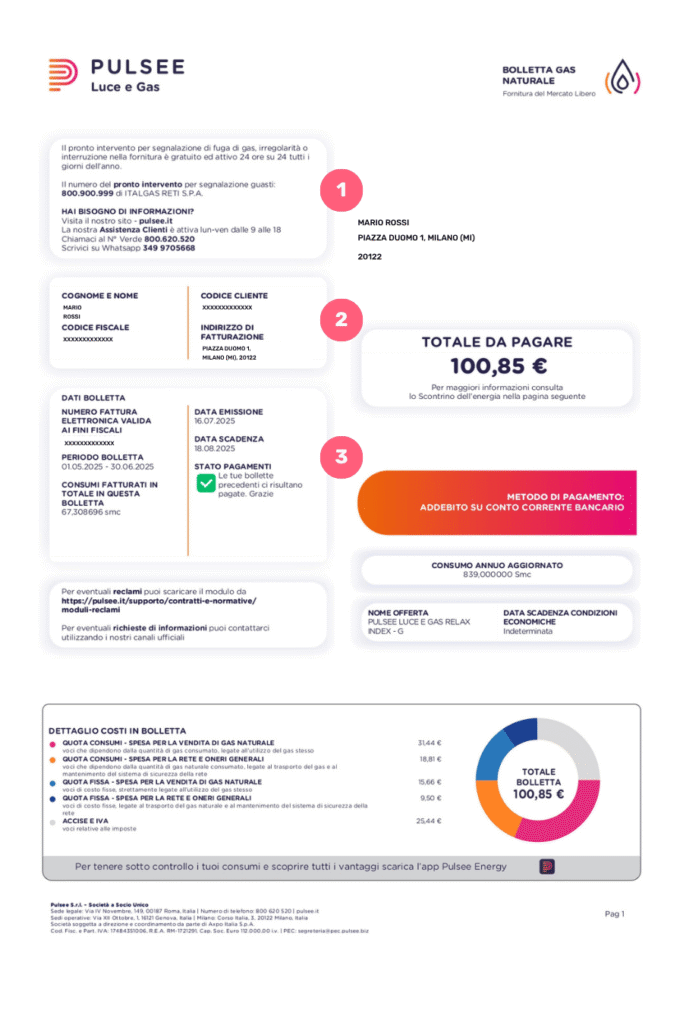 Leggere la bolletta Pulsee