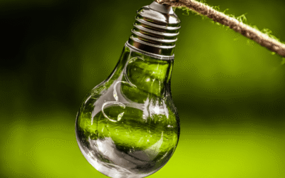 Decarbonizzazione e transizione energetica: a che punto siamo?