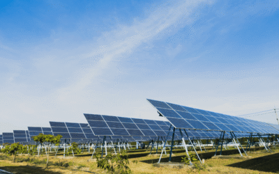 Elettricità: a giugno 2026 il consumo più alto degli ultimi 10 anni