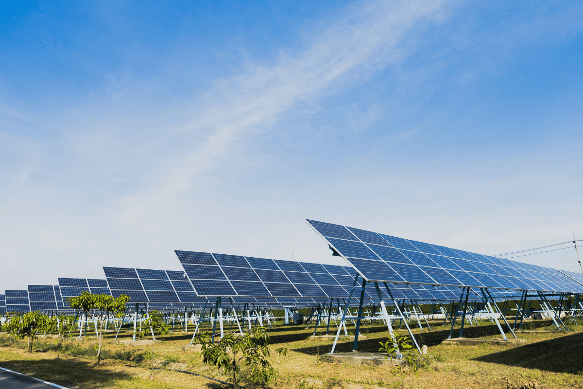 consumi elettrici in crescita a giugno 2026