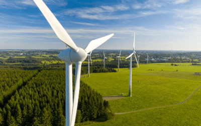 ARERA: puntare sulle rinnovabili per ridurre prezzi energia